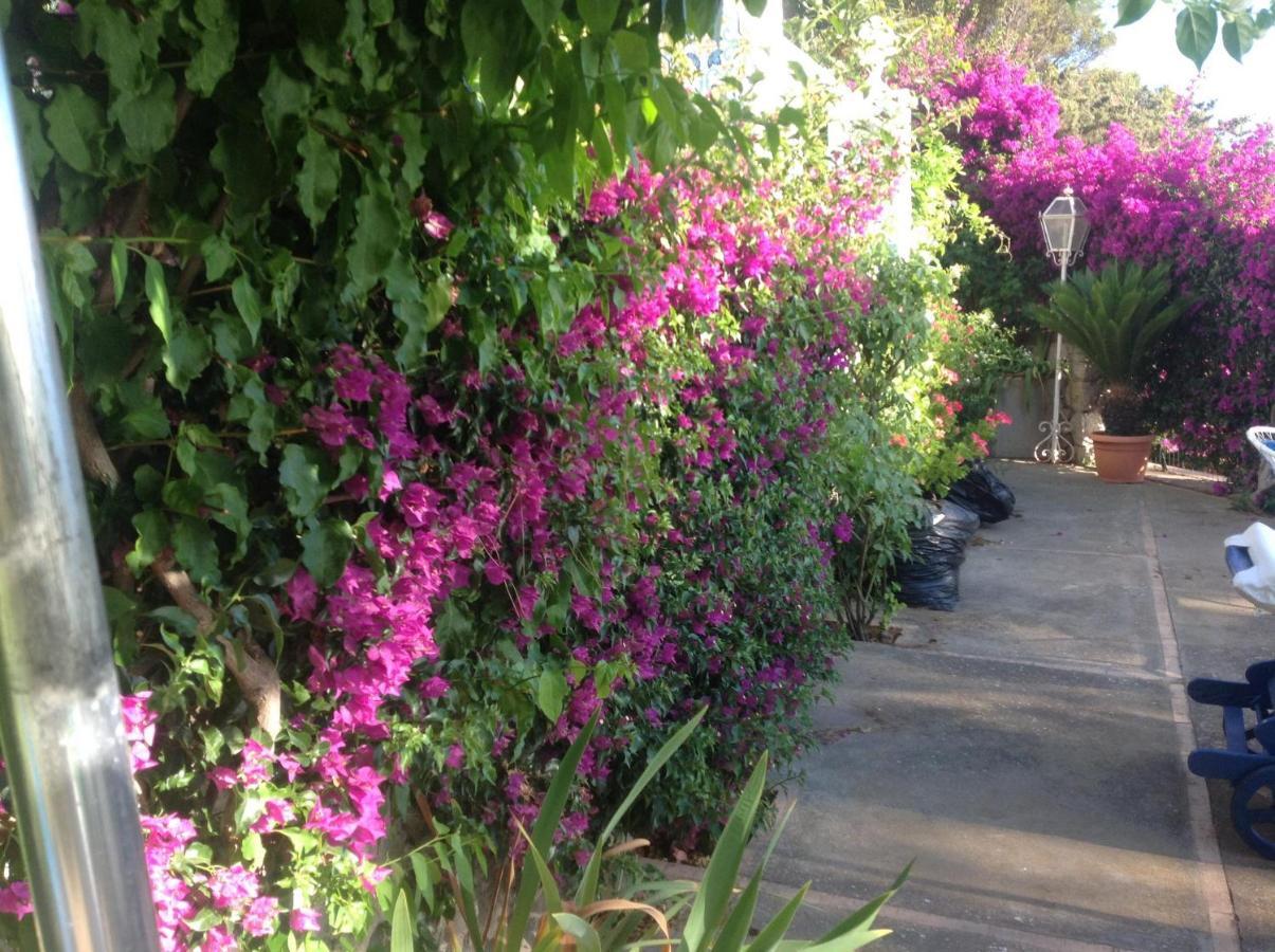 Bb La Guardiia Bed & Breakfast Anacapri  Ngoại thất bức ảnh