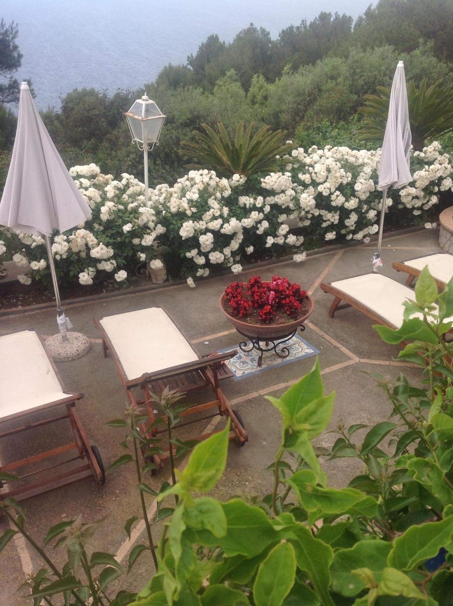 Bb La Guardiia Bed & Breakfast Anacapri  Ngoại thất bức ảnh