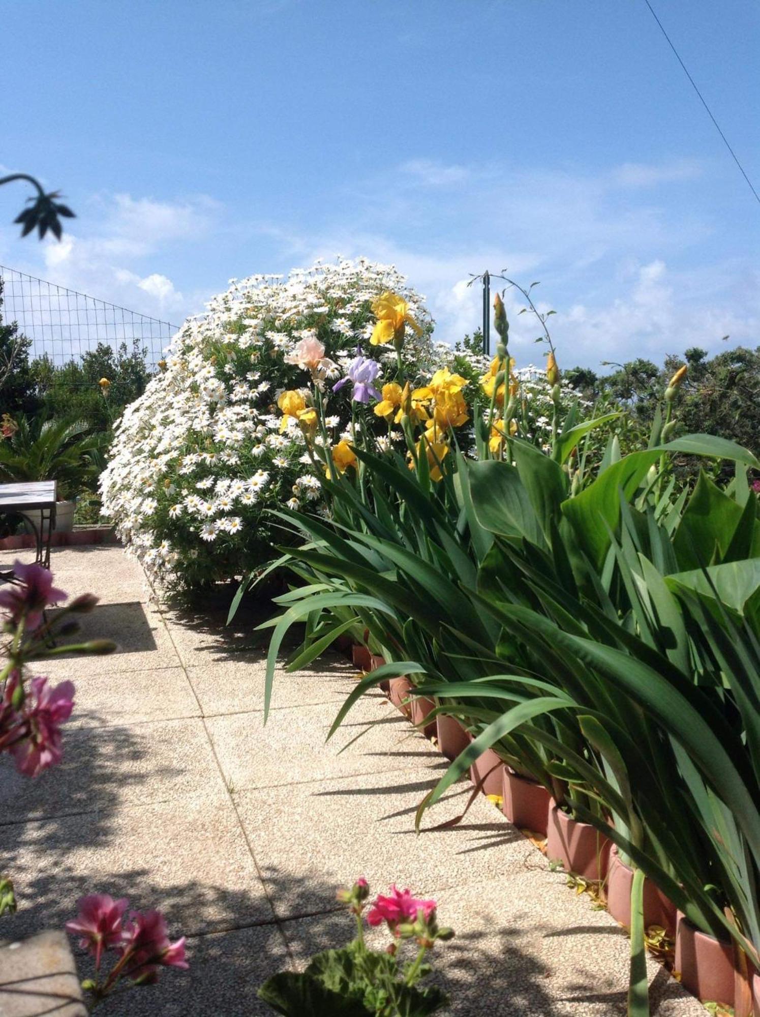 Bb La Guardiia Bed & Breakfast Anacapri  Ngoại thất bức ảnh