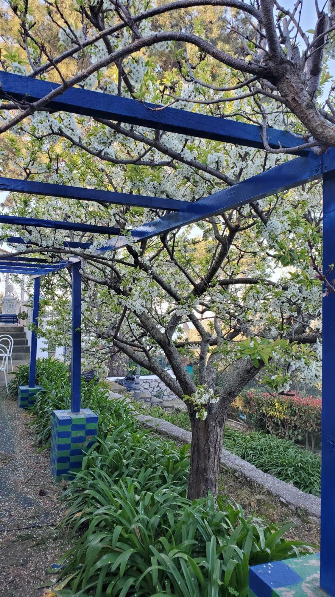 Bb La Guardiia Bed & Breakfast Anacapri  Ngoại thất bức ảnh